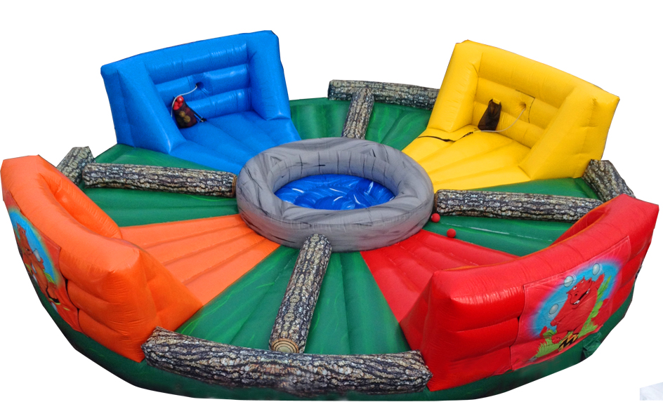 Inflatable Bounces 7